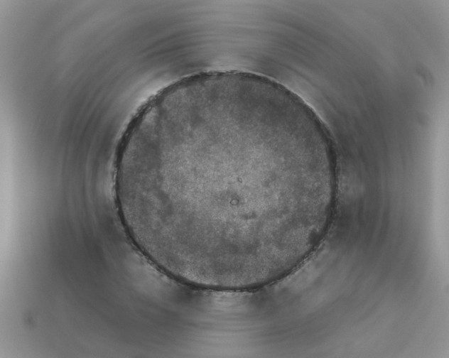 X0000113040832200909101916