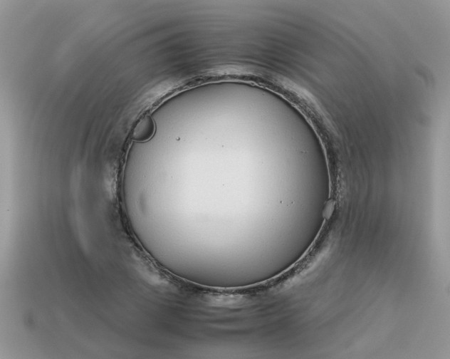 X0000113040833200909101916