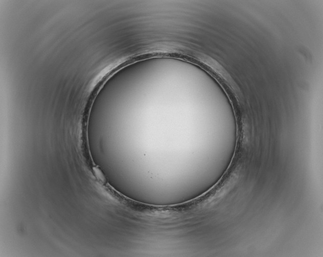 X0000113040834200909101916