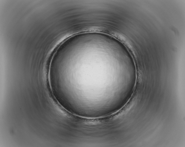 X0000113040835200909101916