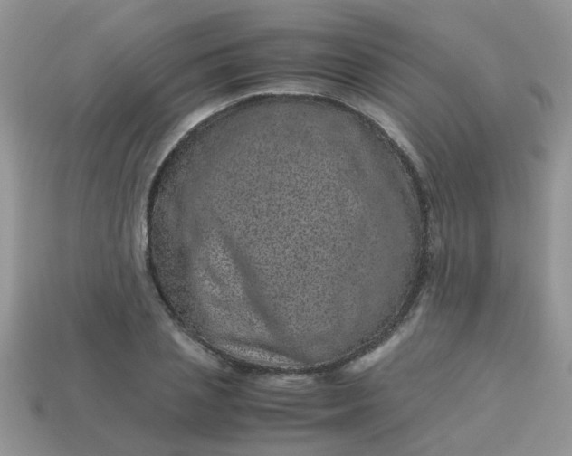 X0000113040837200909101916