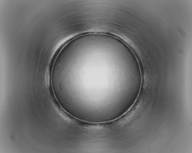 X0000113040838200909101916
