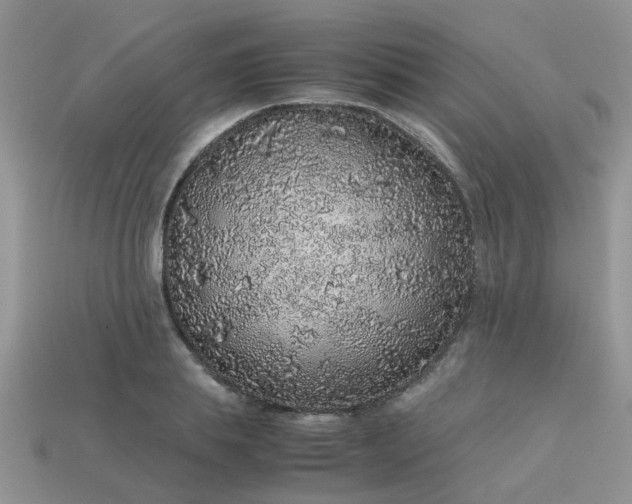 X0000113040839200909101916