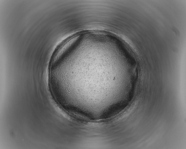 X0000113040840200909101916