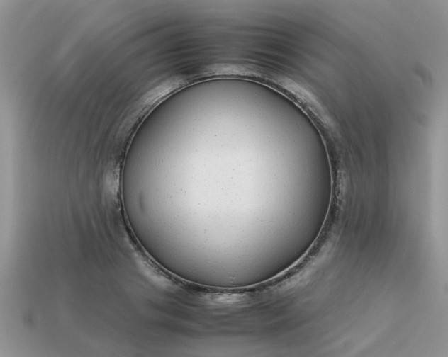 X0000113040841200909101916