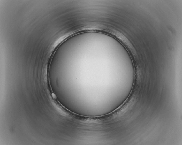 X0000113040842200909101916