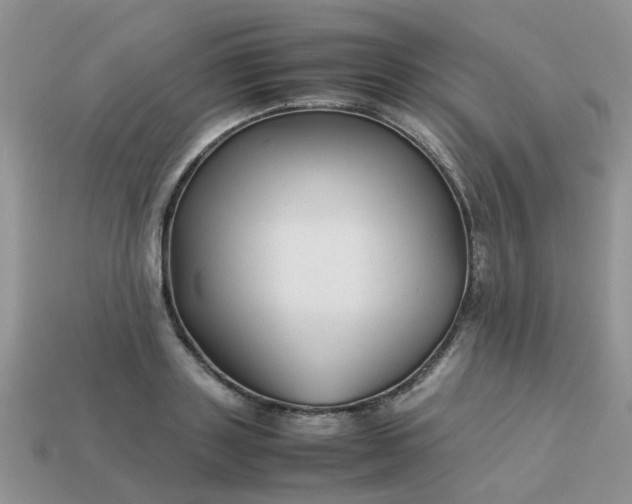 X0000113040843200909101916
