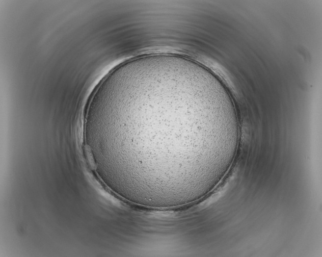 X0000113040844200909101916