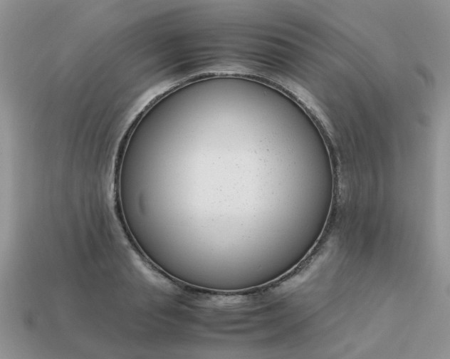 X0000113040845200909101916
