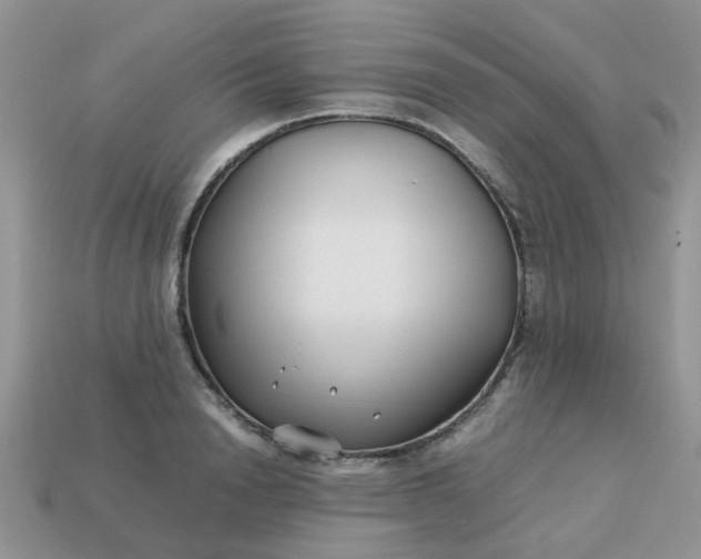 X0000113040846200909101916