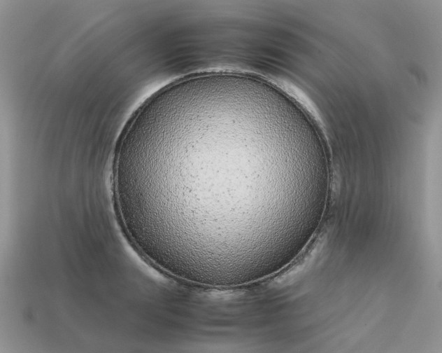 X0000113040847200909101916