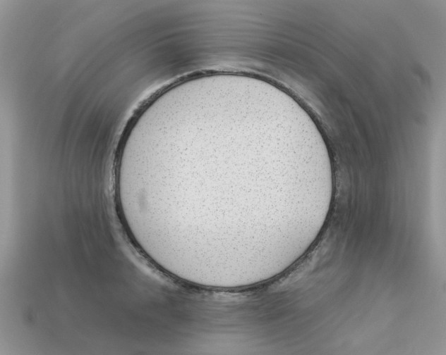 X0000113040848200909101916