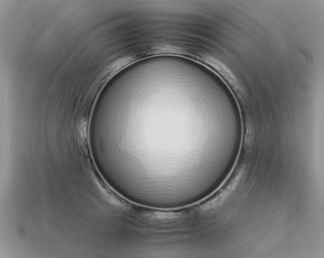 X0000113040849200909101916