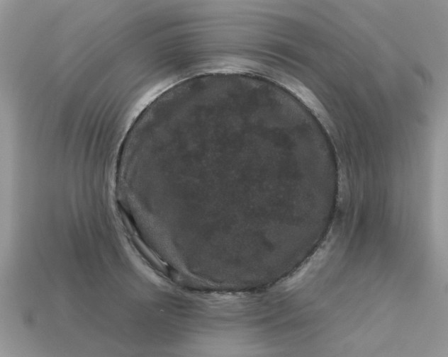X0000113040850200909101916