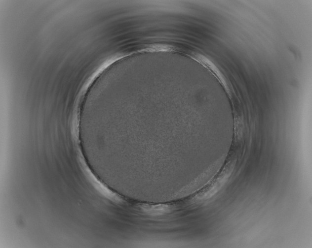 X0000113040851200909101916