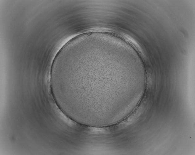 X0000113040852200909101916