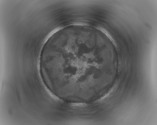 X0000113040853200909101916