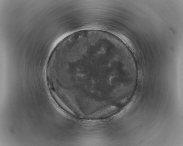 X0000113040854200909101916