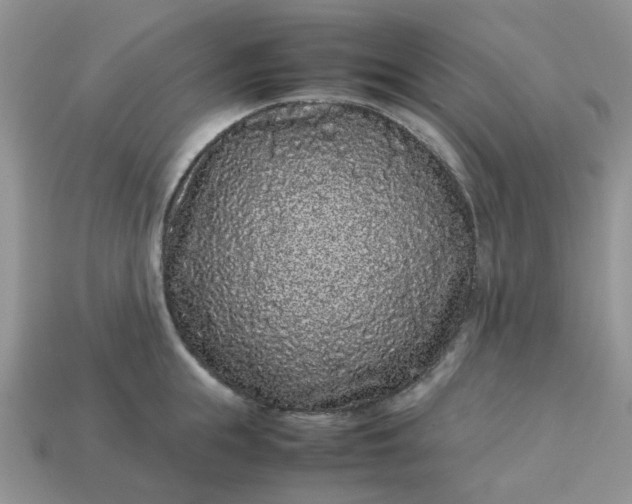 X0000113040855200909101917