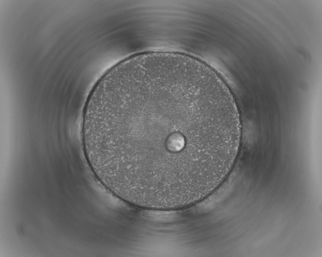 X0000113040856200909101917