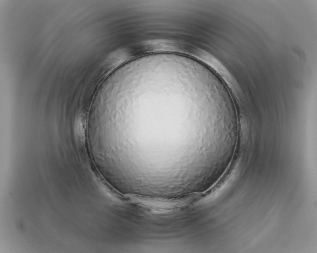 X0000113040857200909101917