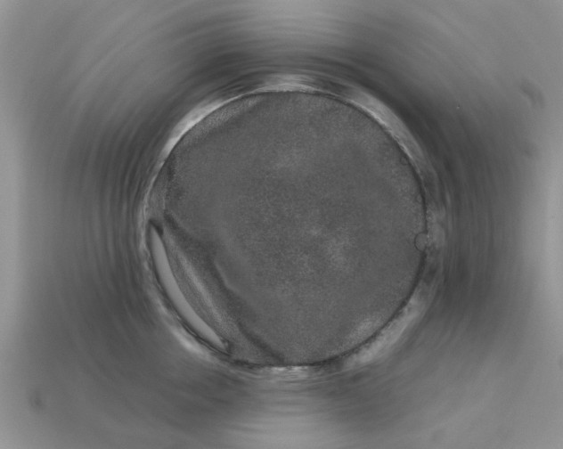 X0000113040858200909101917