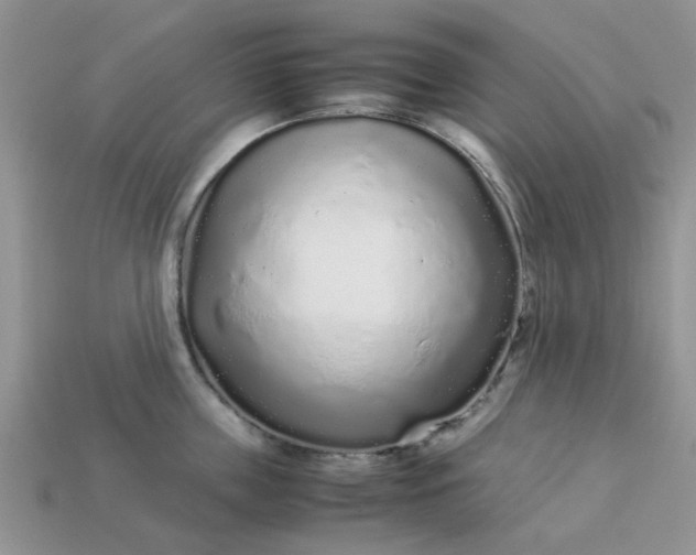 X0000113040859200909101917