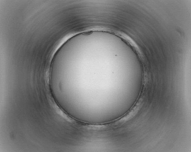 X0000113040860200909101917