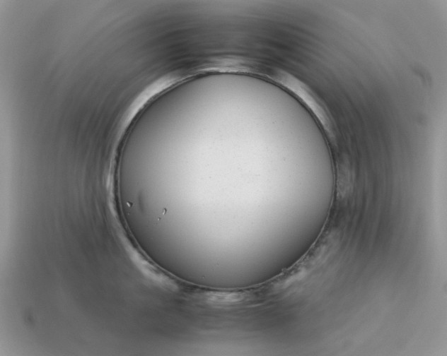 X0000113040861200909101917