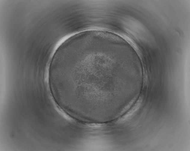 X0000113040862200909101917