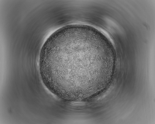 X0000113040863200909101917