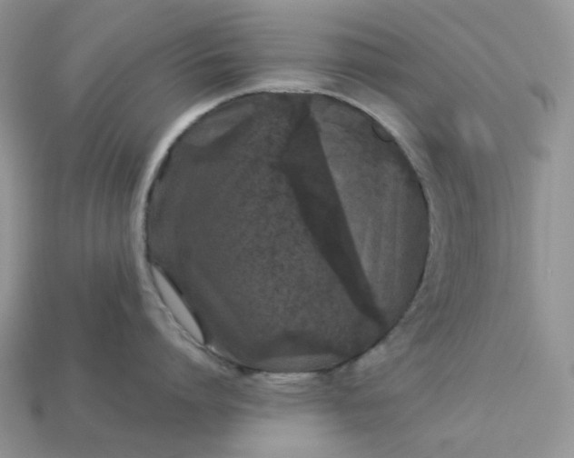 X0000113040864200909101917