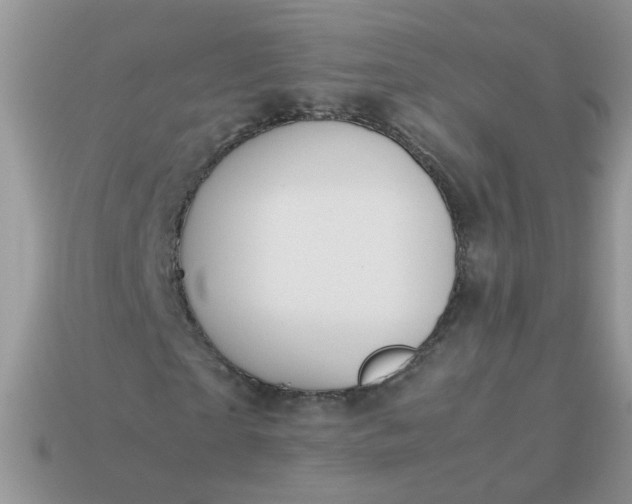 X0000113040865200909101916