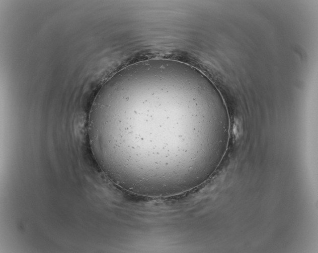 X0000113040867200909101916