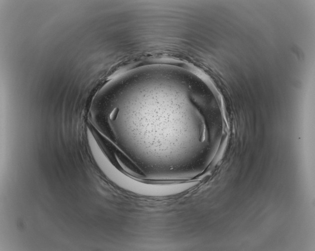 X0000113040868200909101916