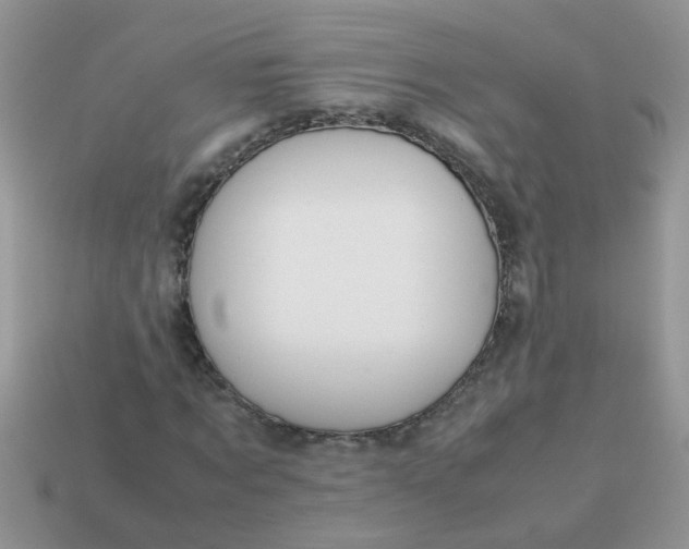 X0000113040869200909101916