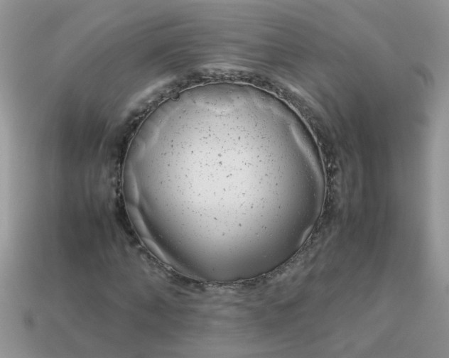 X0000113040870200909101916