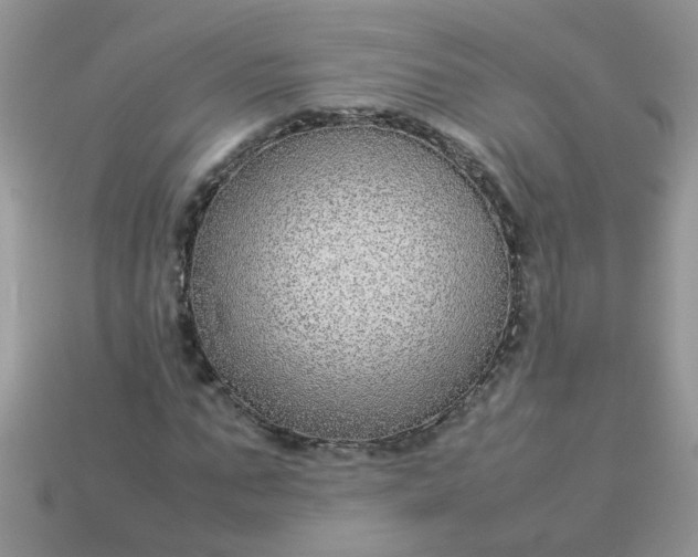 X0000113040871200909101916