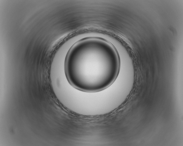 X0000113040872200909101916