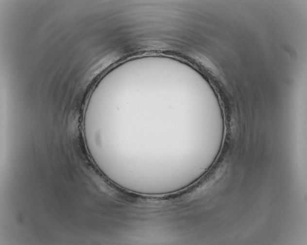 X0000113040873200909101916