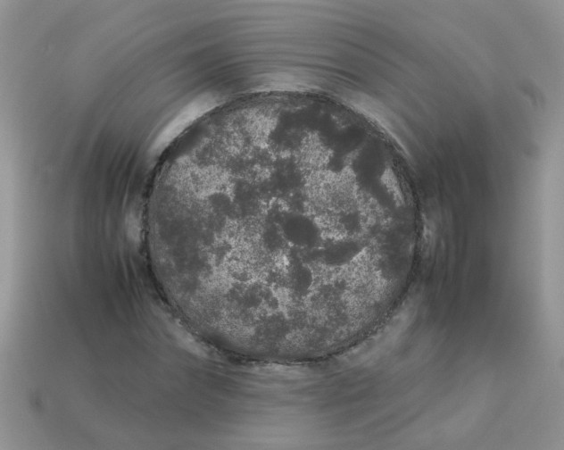 X0000113040874200909101916