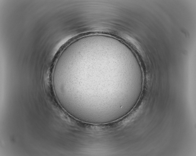 X0000113040875200909101916