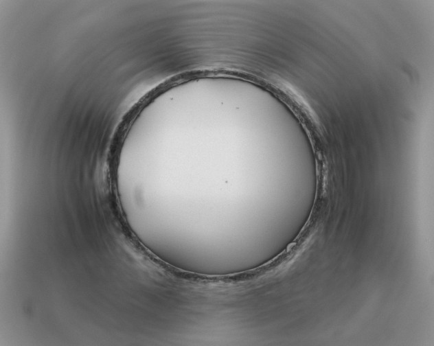 X0000113040876200909101916
