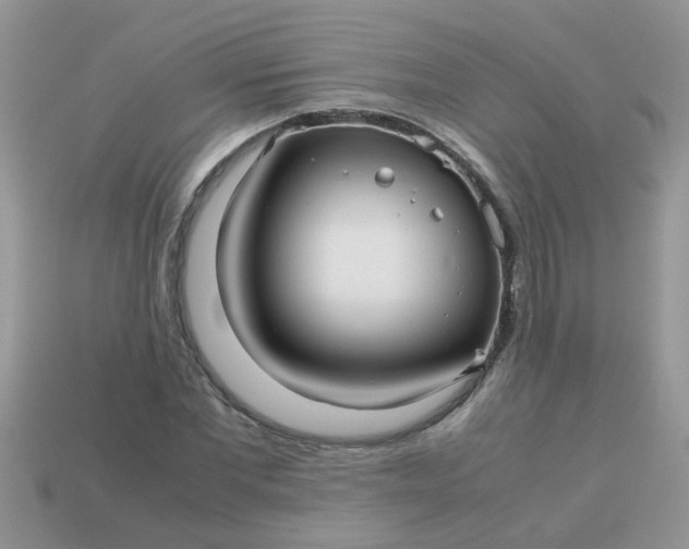 X0000113040877200909101916