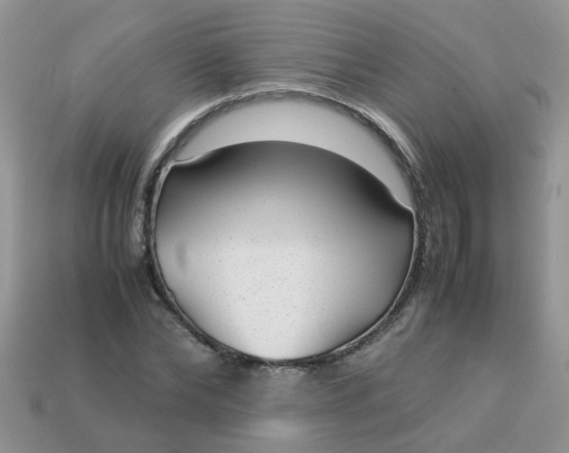 X0000113040878200909101916
