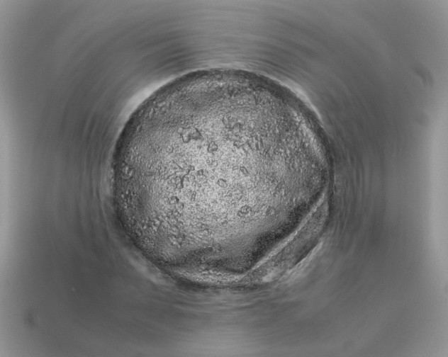 X0000113040879200909101916