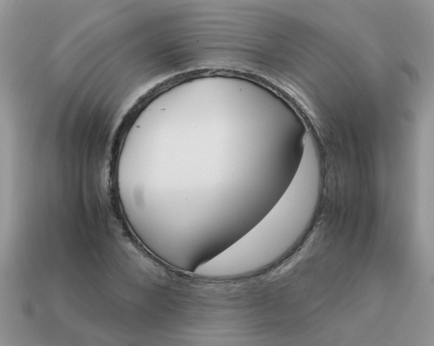 X0000113040880200909101916