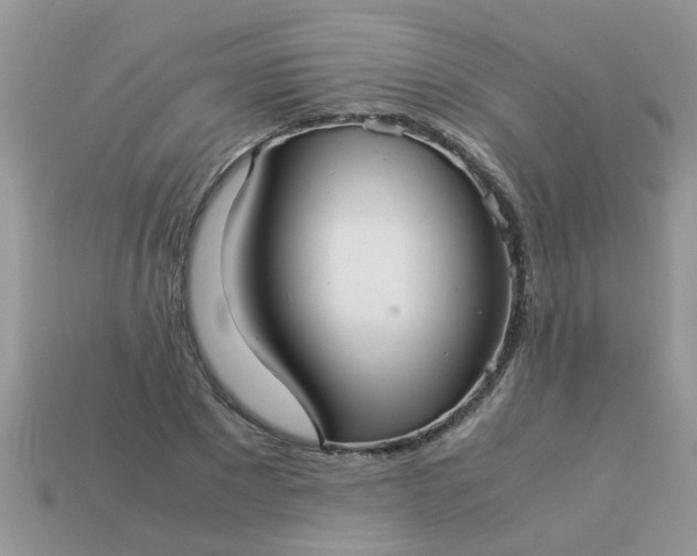 X0000113040881200909101916