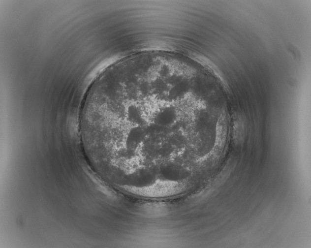 X0000113040882200909101916