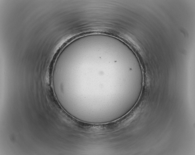 X0000113040883200909101916